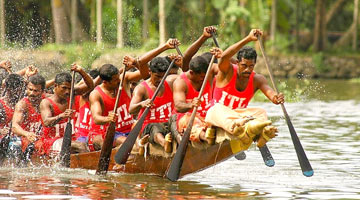 Southern Green Cruise Alleppey